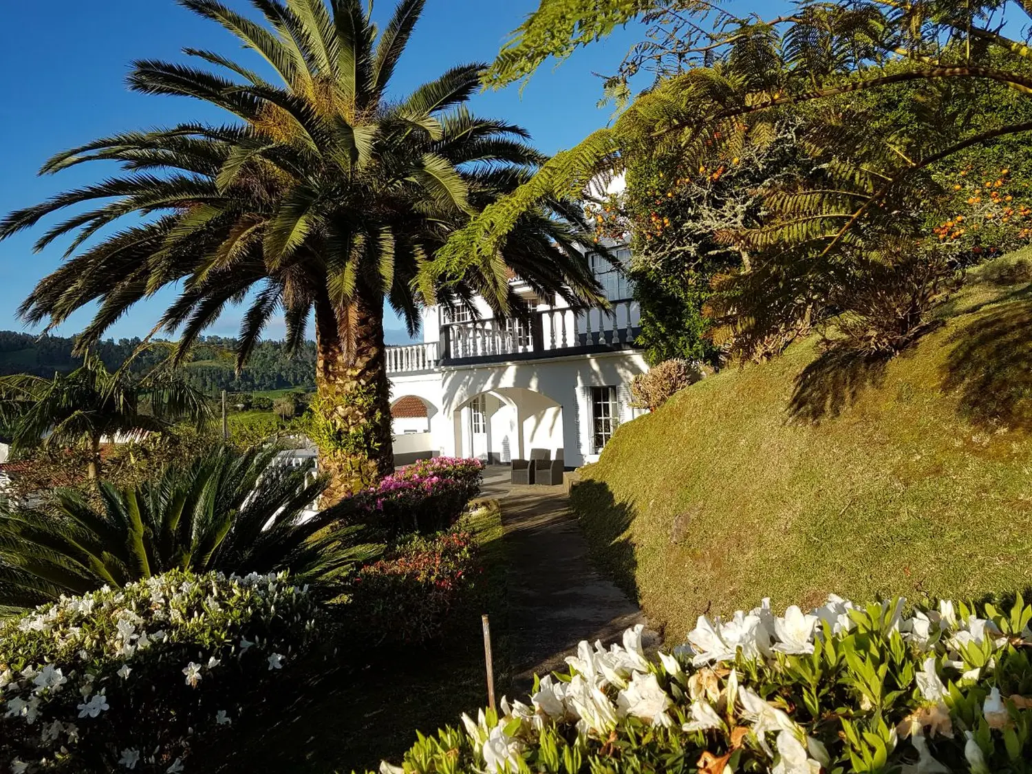 Villa Magia Verde – Blick auf die Villa durch Blumen und Bäume