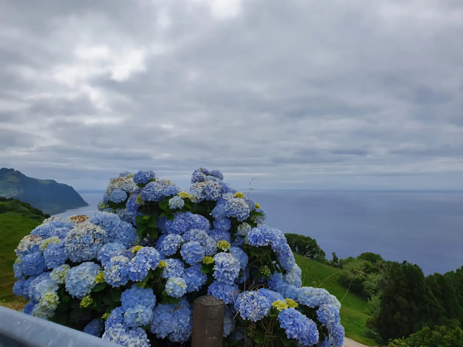 Villa Magia Verde – ein malerischer Aussichtspunkt mit blauen Blumen auf der Insel São Miguel auf den Azoren, Portugal. 