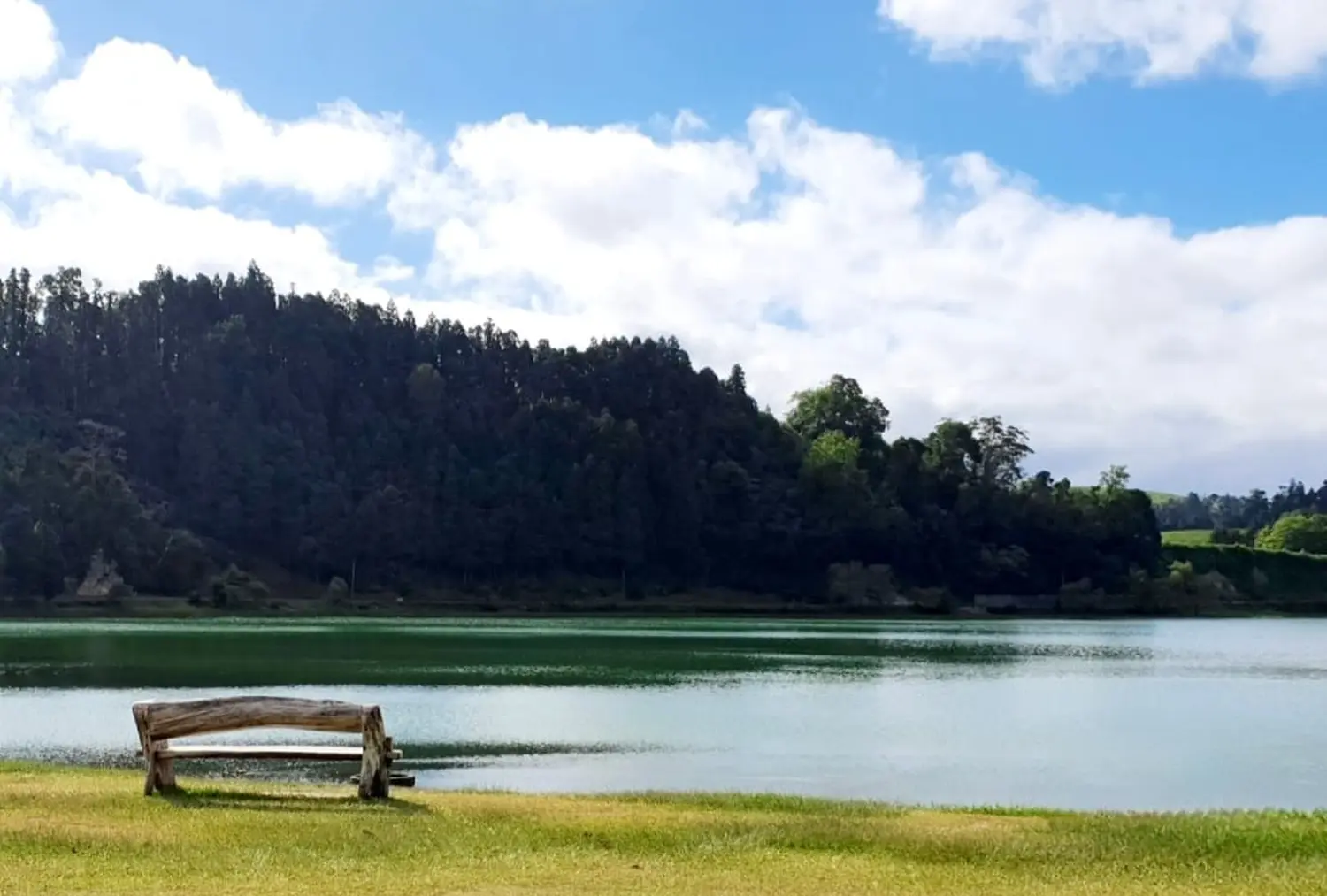Villa Magia Verde – Blick mit einer Bank in der Nähe des Sees und des Waldes auf der anderen Seite des Sees 