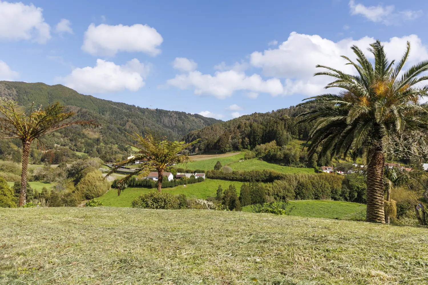 Villa Magia Verde, eine Ferienwohnung in Furnas, São Miguel, Azoren, Portugal. von Villa Magia Verde